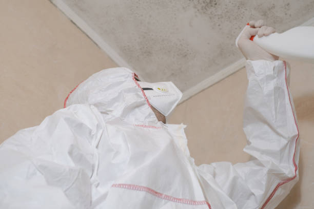Best Mold Testing and Inspection Services in Old Forge, PA